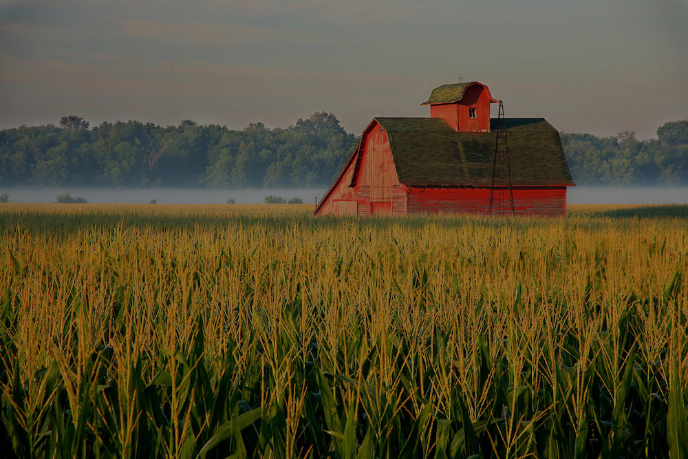 farm and crop insurance California MO